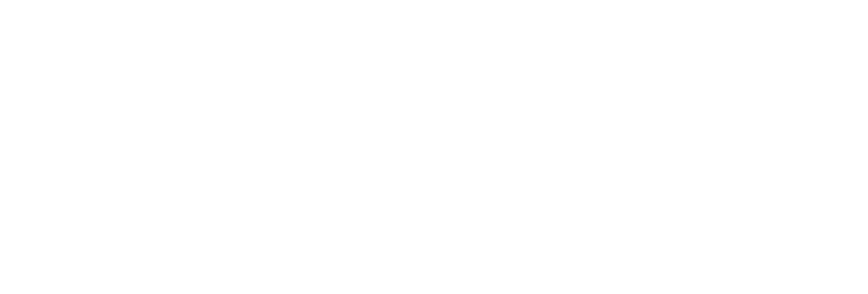 Vital Training Systems logo full in white